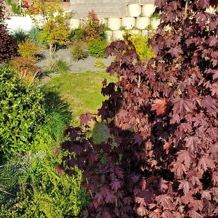 Mi Casa